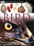 Eyewitness Bird