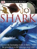 Eyewitness Shark