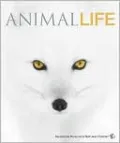 Animal Life: Secrets of the Animal World Revealed