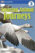 Amazing Animal Journeys (DK Readers Level 3 Series)