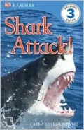 Shark Attack!