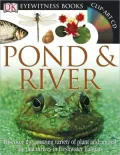 Pond and River