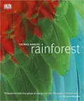 Rainforest