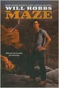 The Maze