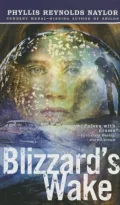 Blizzard's Wake