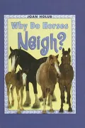 Why Do Horses Neigh
