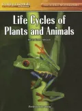 Life Cycles of Plants