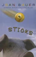 Sticks