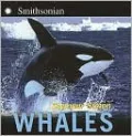 Whales