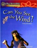 Can You See the Wind?