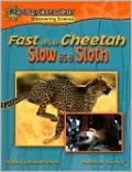 Fast as a Cheetah, Slow as a Sloth
