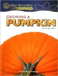 Growing a Pumpkin