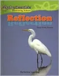 Reflection