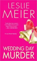 Wedding Day Murder (Lucy Stone Series #8)