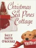 Christmas at Sea Pines Cottage