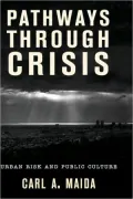 Pathways through Crisis: Urban Risk and Public Culture