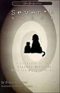 Seventh Sense