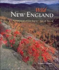 Wild New England: A Celebration of Our Region's Natural Beauty
