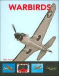 Warbirds (Gallery Series)