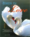 Birds in Love: The Secret Courting and Mating Rituals of Extraordinary Birds