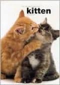 Complete Guide to the Kitten
