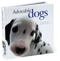Adorable Dogs