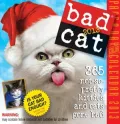 Bad Cat: 244 Not-So-Pretty Kitties and Cats Gone Bad