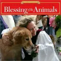 2011 Blessing of the Animals Wall Calendar