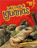 Let's Look at Iguanas