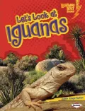 Let's Look at Iguanas