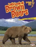 Let's Look at Brown Bears