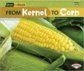 From Kernel to Corn