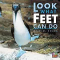 Look What Feet Can Do