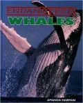 Whales