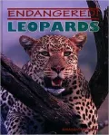 Leopards