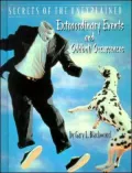 Extraordinary Events and Oddball Occurrences