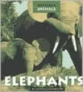 Elephants