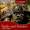 Turtles And Tortoises