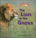The Lion in the Grass