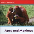 Apes and Monkeys