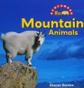 Mountain Animals