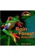 Rain Forest Animals