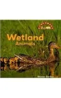 Wetlands Animals