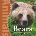 Bears