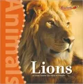 Lions