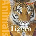Book cover of Tigers