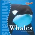 Whales