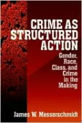 Crime as Structured Action: Gender, Race, Class, and Crime in the Making