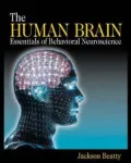 The Human Brain