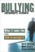 Bullying In Secondary Schools